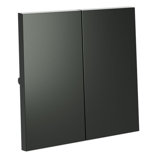 Клавиши для выключателя/переключателя двухклавишного, S70 (титан)