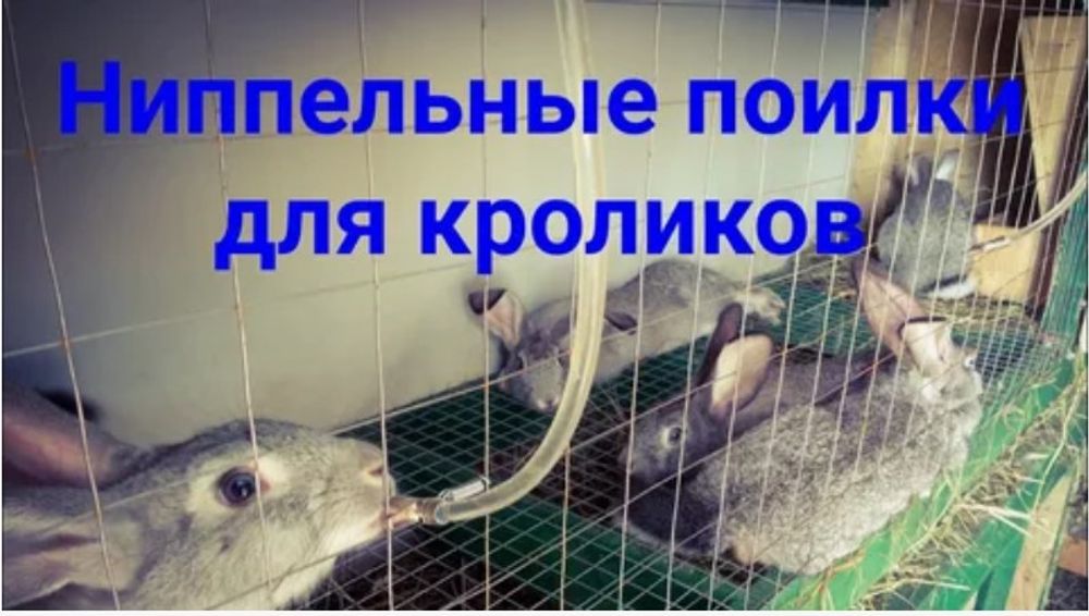Ниппельная поилка д/ кроликов