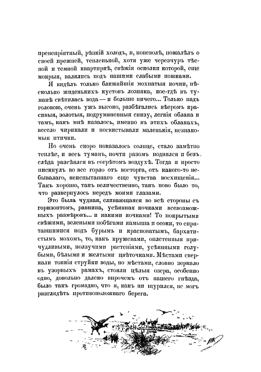 С севера на юг. Путевые воспоминания старого журавля | Каразин Николай Николаевич