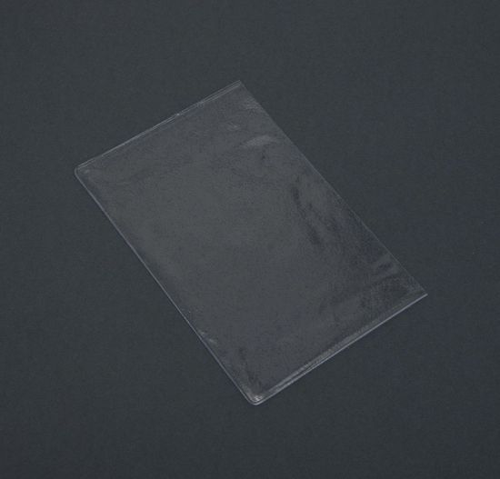 Набор чехлов для листов паспорта, 10шт.