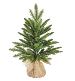 Ель в мешочке 60см Edelman B.V. Чемберлен зеленая