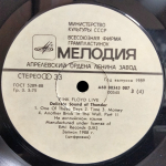 Pink Floyd / Delicate Sound Of Thunder (2LP)
