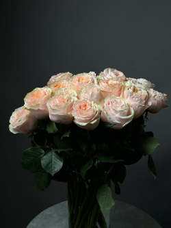 Розы поштучно «Princess crown» (Эквадор)