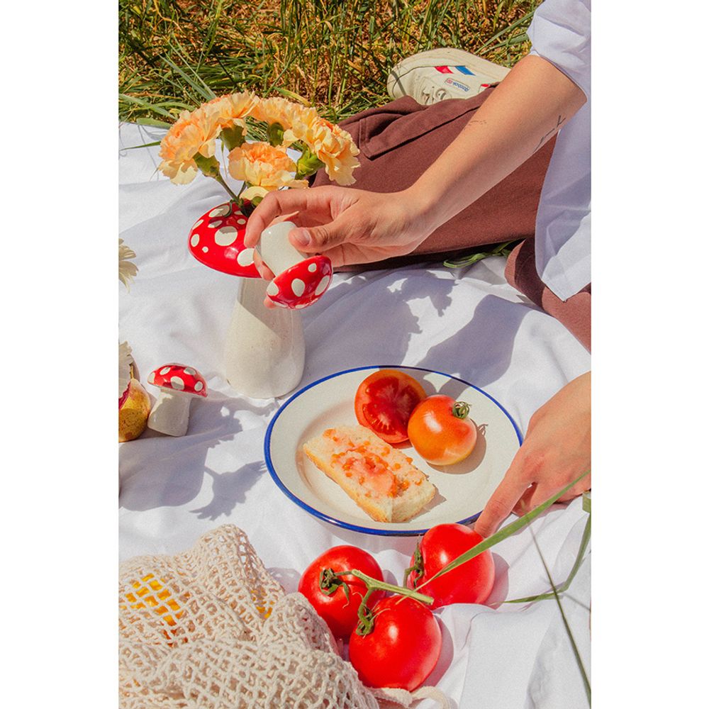 Набор из солонки и перечницы Amanita