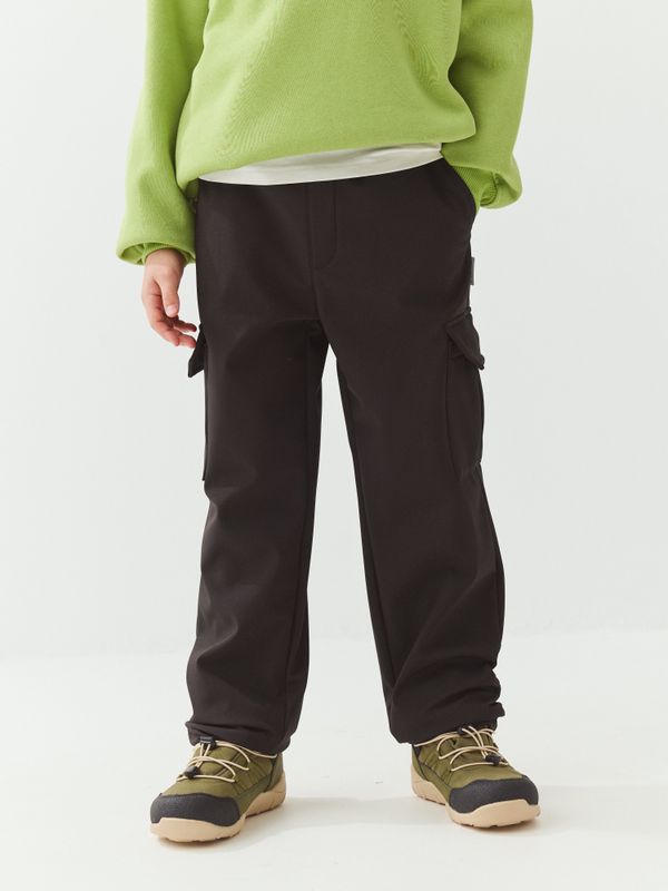 Брюки карго Softshell демисезонные 