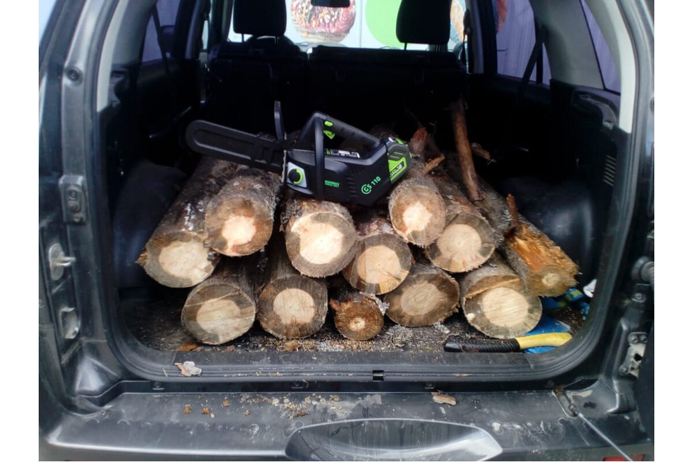 Пила цепная одноручная аккум. GREENWORKS GD40TCS 40В,25см,1/4-1,3-58,б/щ,без АКБ и ЗУ (2003807)