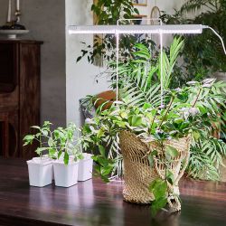 ULI-P10-18W-SPFR IP40 WHITE Светильник для растений светодиодный линейный. 560мм. выкл. на корпусе. Спектр для фотосинтеза. TM Uniel