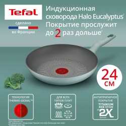 Сковорода Tefal Halo Eucalyptus 24 см G0160402