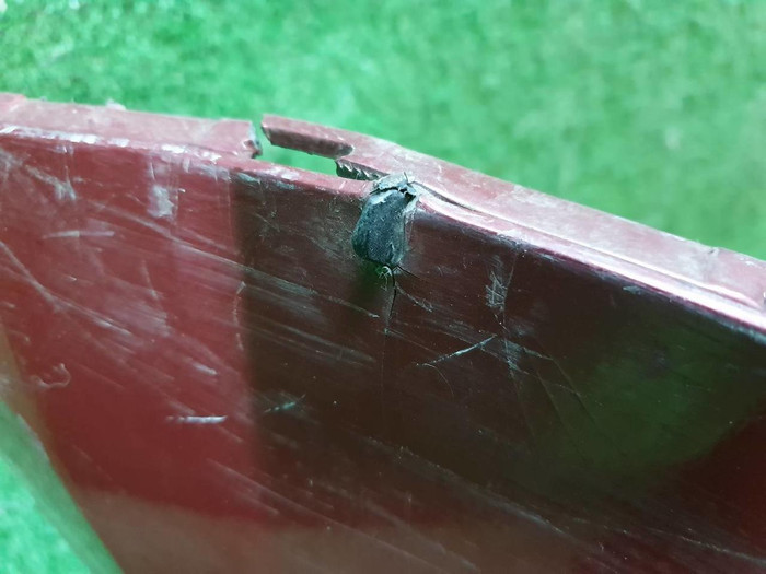 Бампер передний VW Polo sedan 5 (2010-2015)