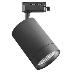 Трековый светильник Lightstar 303274