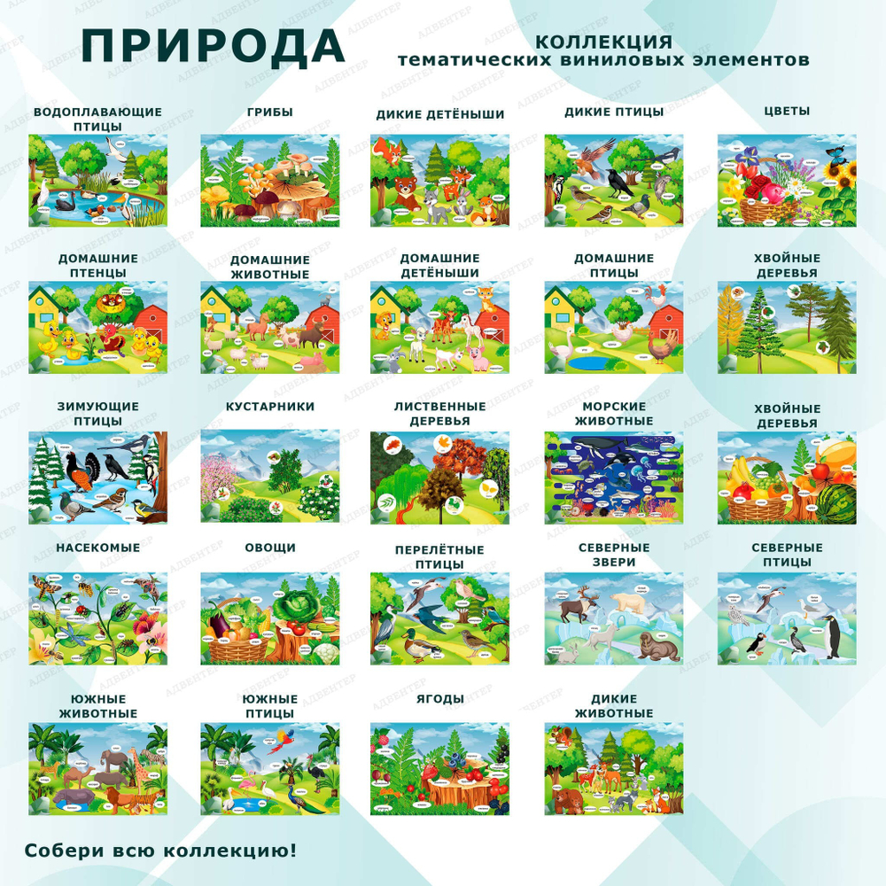 Комплект развивающий Природа: Домашние птицы. Домашние животные. Домашние птенцы 2196