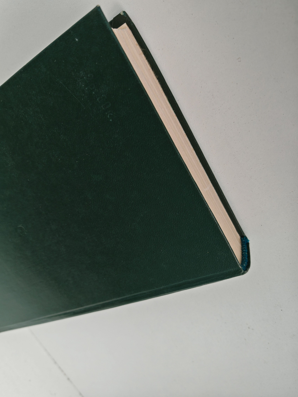 Ивушка неплакучая