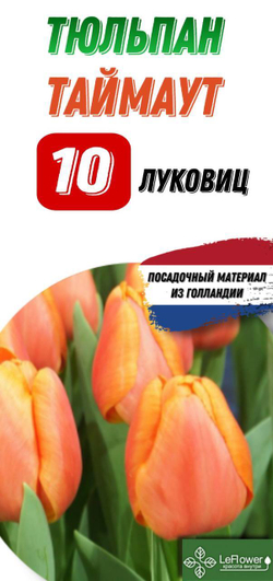 Тюльпан Луковица, Таймаут, 10шт