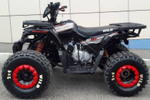 Квадроцикл Motoland VOX125 WILD черный
