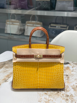 Hermes Birkin 25