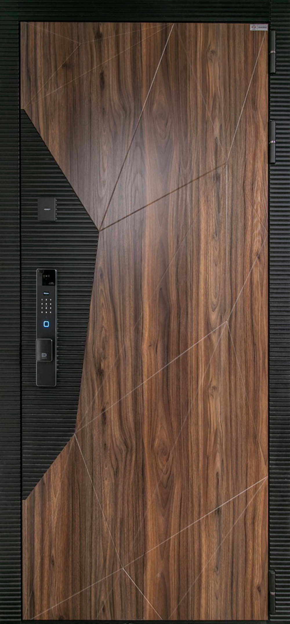 Стальная дверь "Сапсан" (биометрический замок К06)