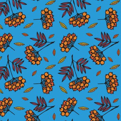 Гроздья рябины