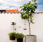 Кормушка для птиц подвесная стеклянная