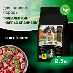 Корм сухой для щенков породы Кавалер кинг чарльз спаниель, премиум полнорационный комплекс, с ягненком, 2,5 кг, QUATTRO