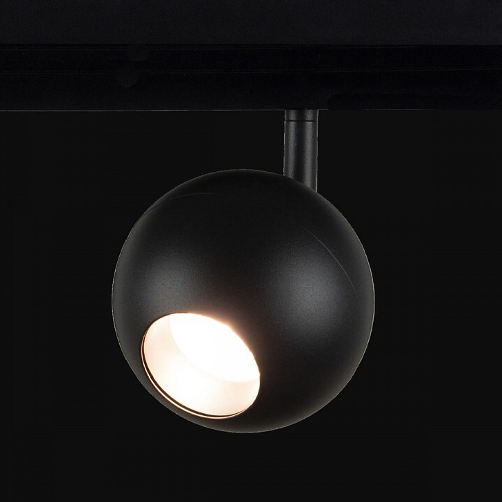 Трековый светильник Loft it T024-12