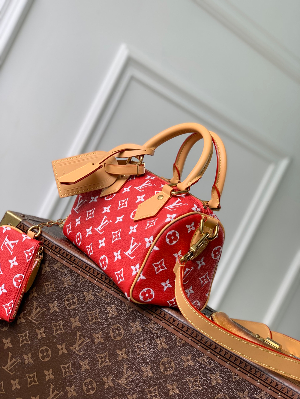 Louis Vuitton Speedy P9 Bandouliere 20