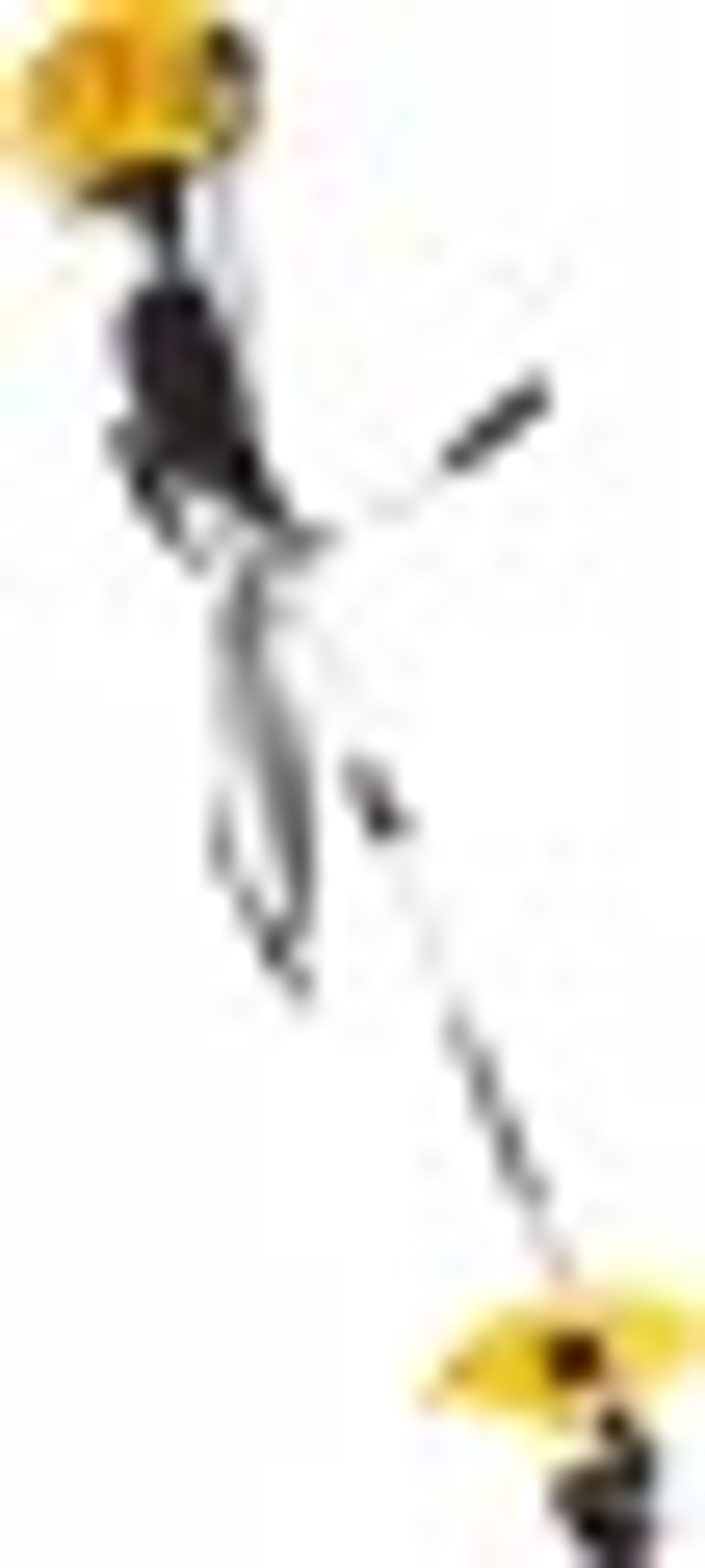 Мотокоса Denzel DT-43S 96225