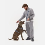 Настраиваемый поводок Midnight Safari с автоблокировкой