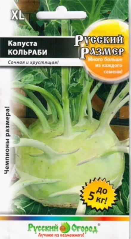 Капуста кольраби Русский размер 50шт НК