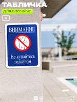 Табличка для бассейна "Внимание, не купайтесь голышом", на пляж, для общественной и частной зоны отдыха, информационная, 40х30 см, Silver Plane x Айдентика Технолоджи