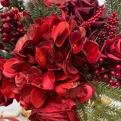 Гортензия красно-золотистая 51 см