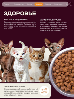 Корм сухой для кошек породы Сфинкс, с индейкой, 5 кг, QUATTRO