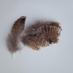 Перья вальдшнепа коричневые 6-9 см. 10 шт.