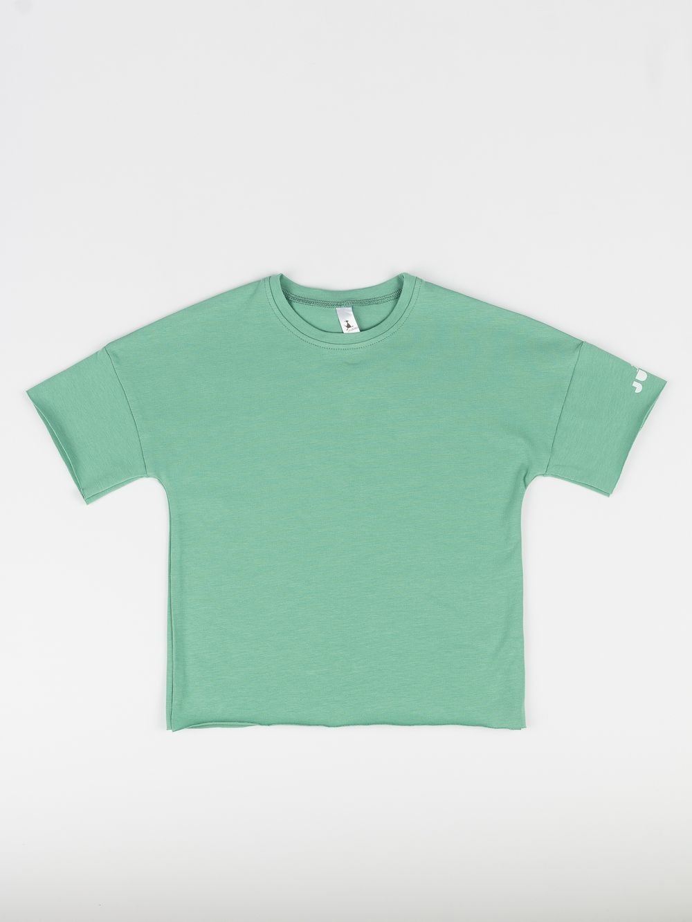 Футболка (Полынь) Basics