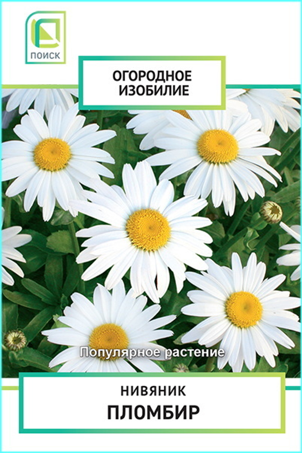 Нивяник Пломбир