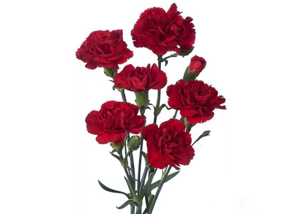 Цветы искусственные Гвоздика кустовая 7 цветков 34см