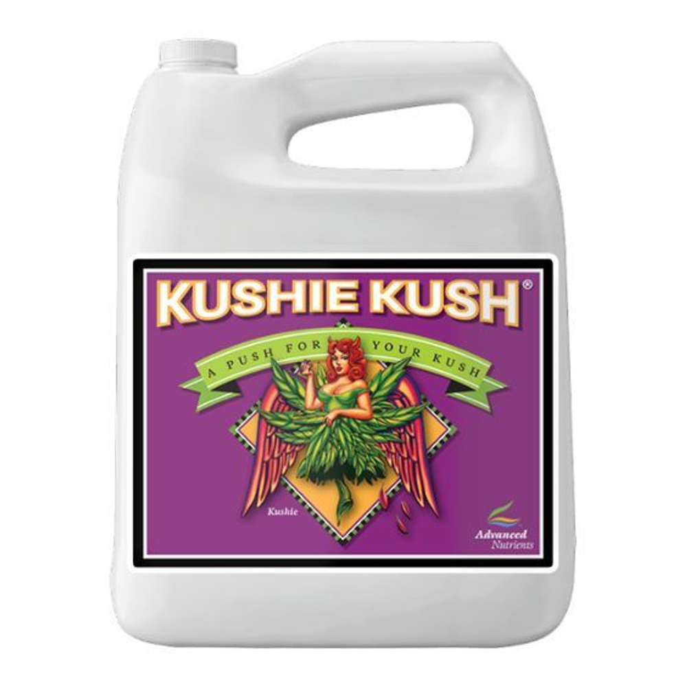 Kushie Kush