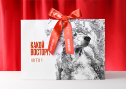 Подарочный пакет