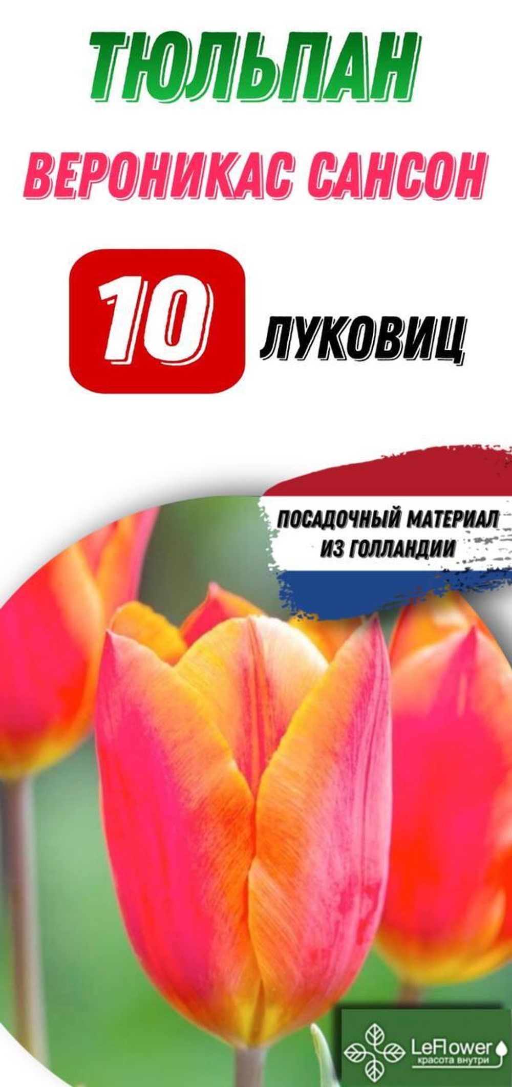 Тюльпан Луковица, Вероникас Сансон, 10шт