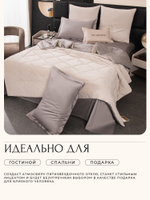 Комплект постельного белья Сатин Velvet Premium с Одеялом VP010