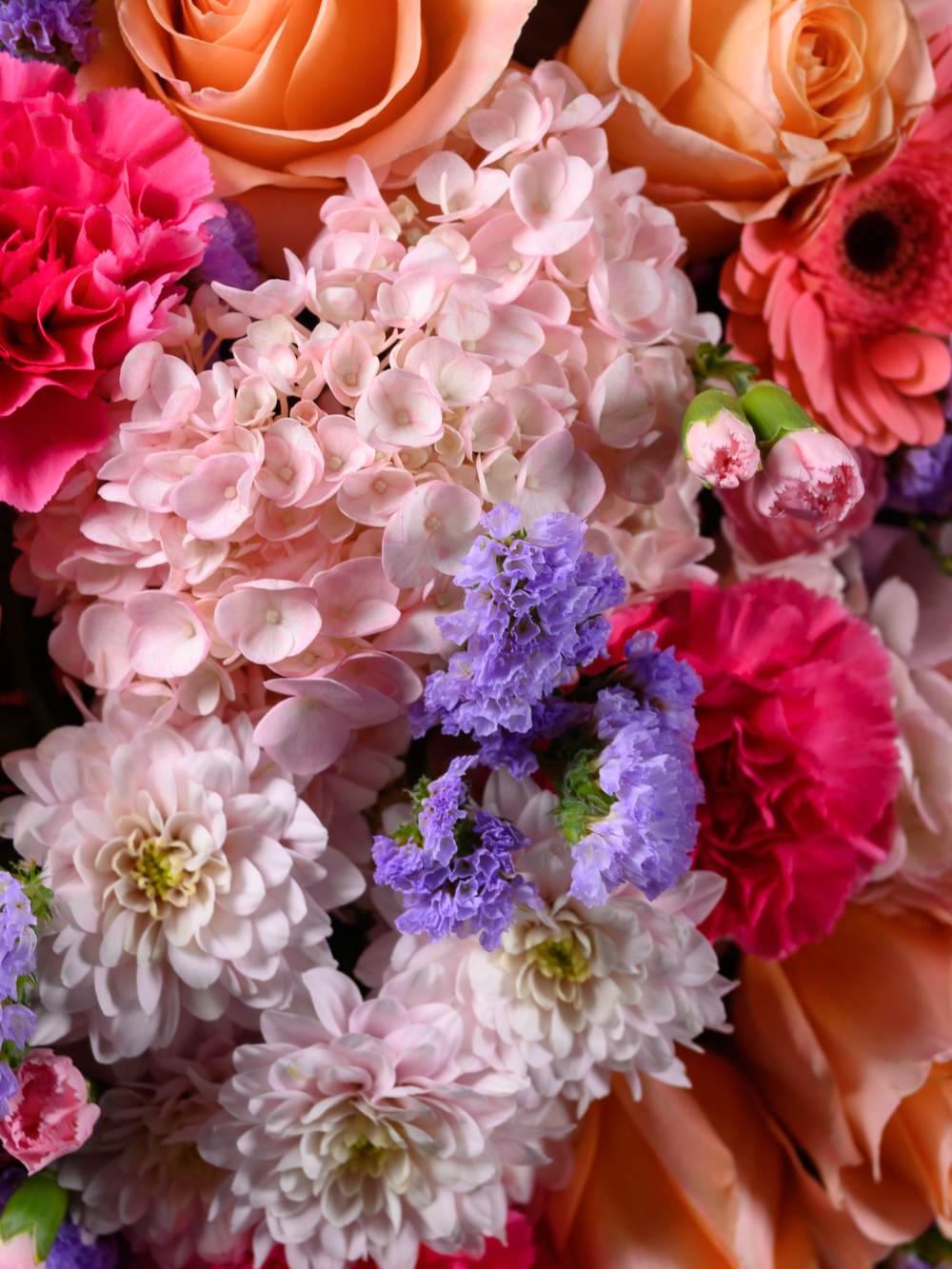 На языке любви