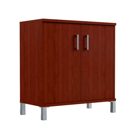 Шкаф низкий с глухими малыми дверьми B 410.2  900х450х920 BORN