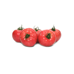 Эрай F1 семена томата индетерминантного ( Yuksel Tohum / )