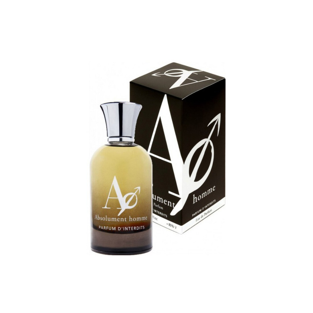 ABSOLUMENT Homme edP 100ml men Tester /66540