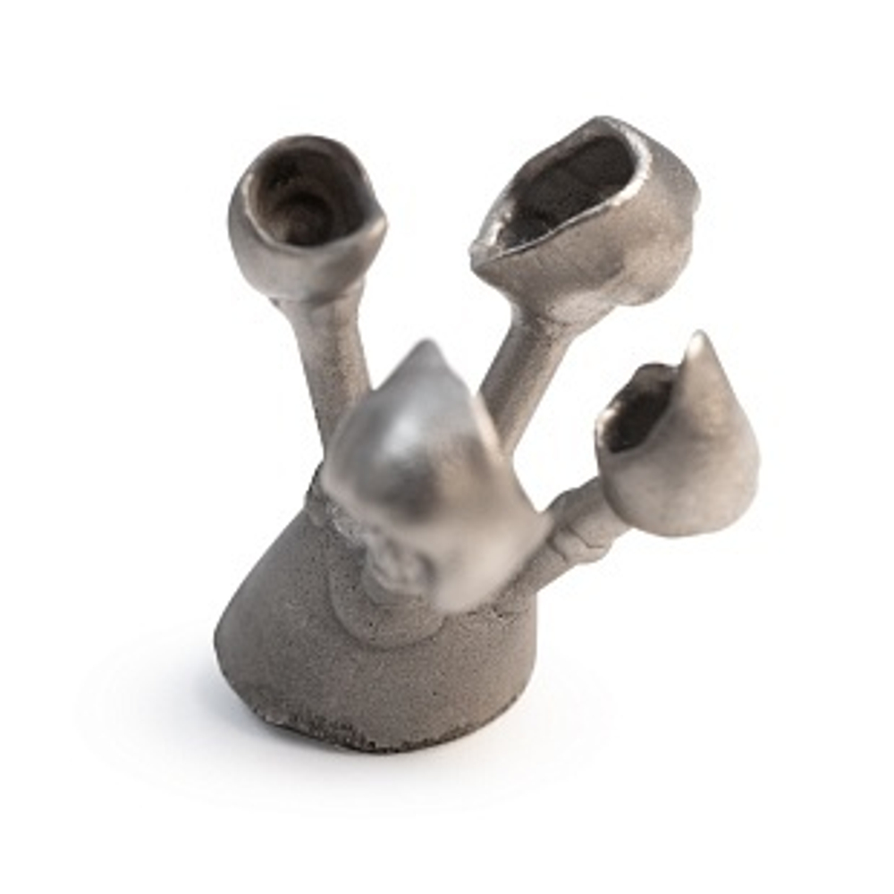 Dental Cast Cherry