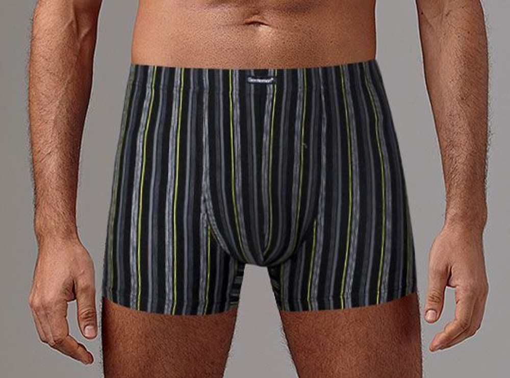 Мужские трусы-боксеры в цветную вертикальную полоску (Размер: XL) (Цвет: черный с синим)