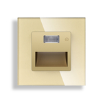 Светильник LED в рамку с дат. движения 220В 5LED ЗОЛОТО