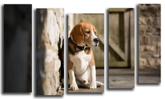 Модульная картина "Грустная собака"