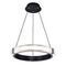 Подвесной светодиодный светильник Lightstar Rotonda 736247