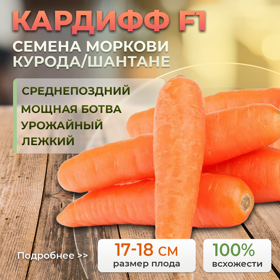 КАРДИФФ F1 семена моркови (Bejo | Alexagro) – фото 1