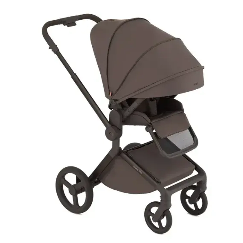 Коляска 2 в 1 ANEX Flo #1